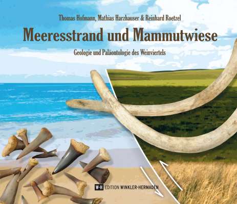 Meeresstrand und Mammutwiese